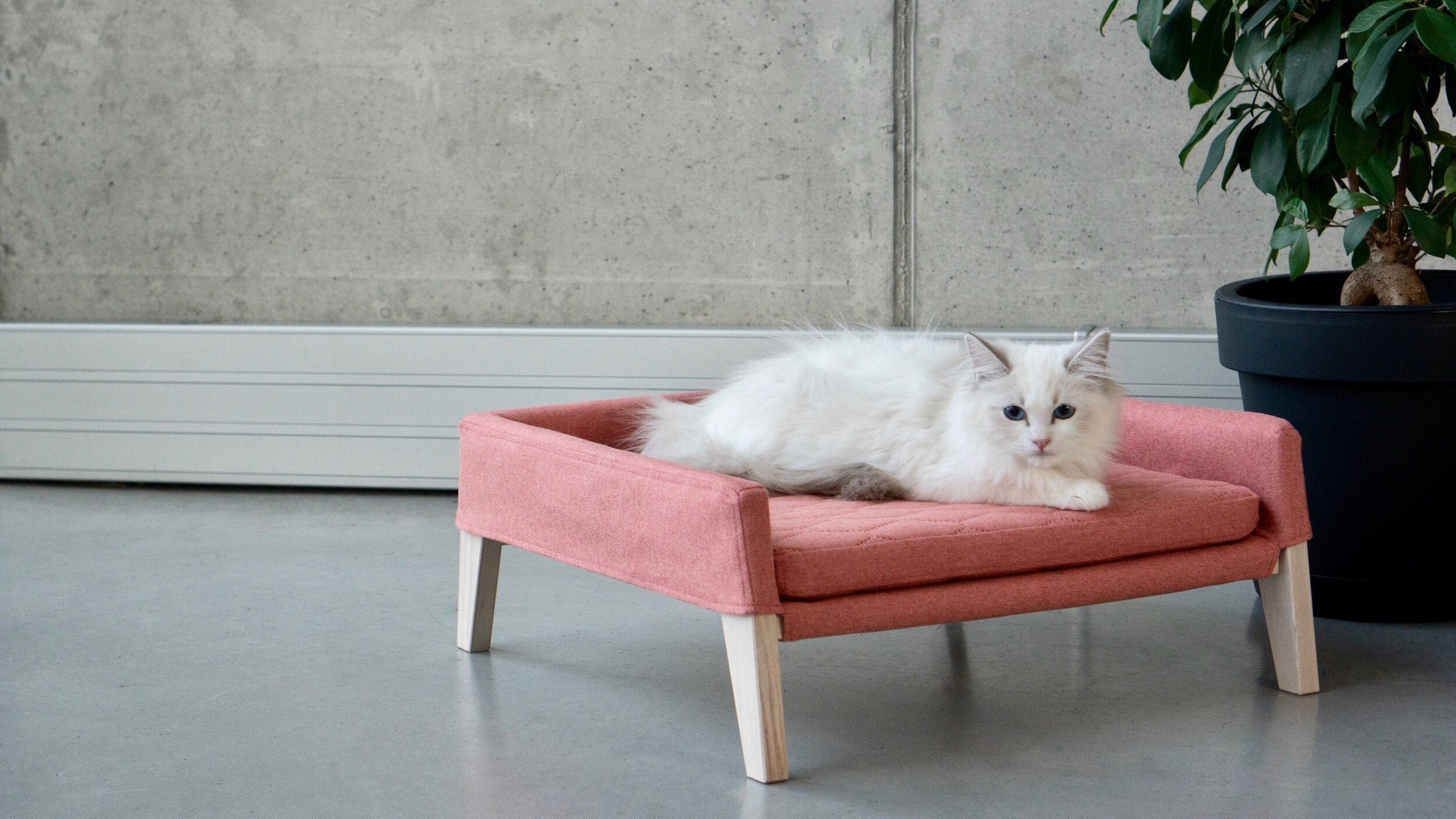 luxury cat bed