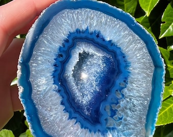 Op de afbeelding: Een gepolijste, halfronde geode met concentrische banden van wit en diepblauw. De buitenrand is helderblauw, overgaand in wit en vervolgens een donkerder blauw centrum. De geode wordt tegen een achtergrond van groen gebladerte gehouden.