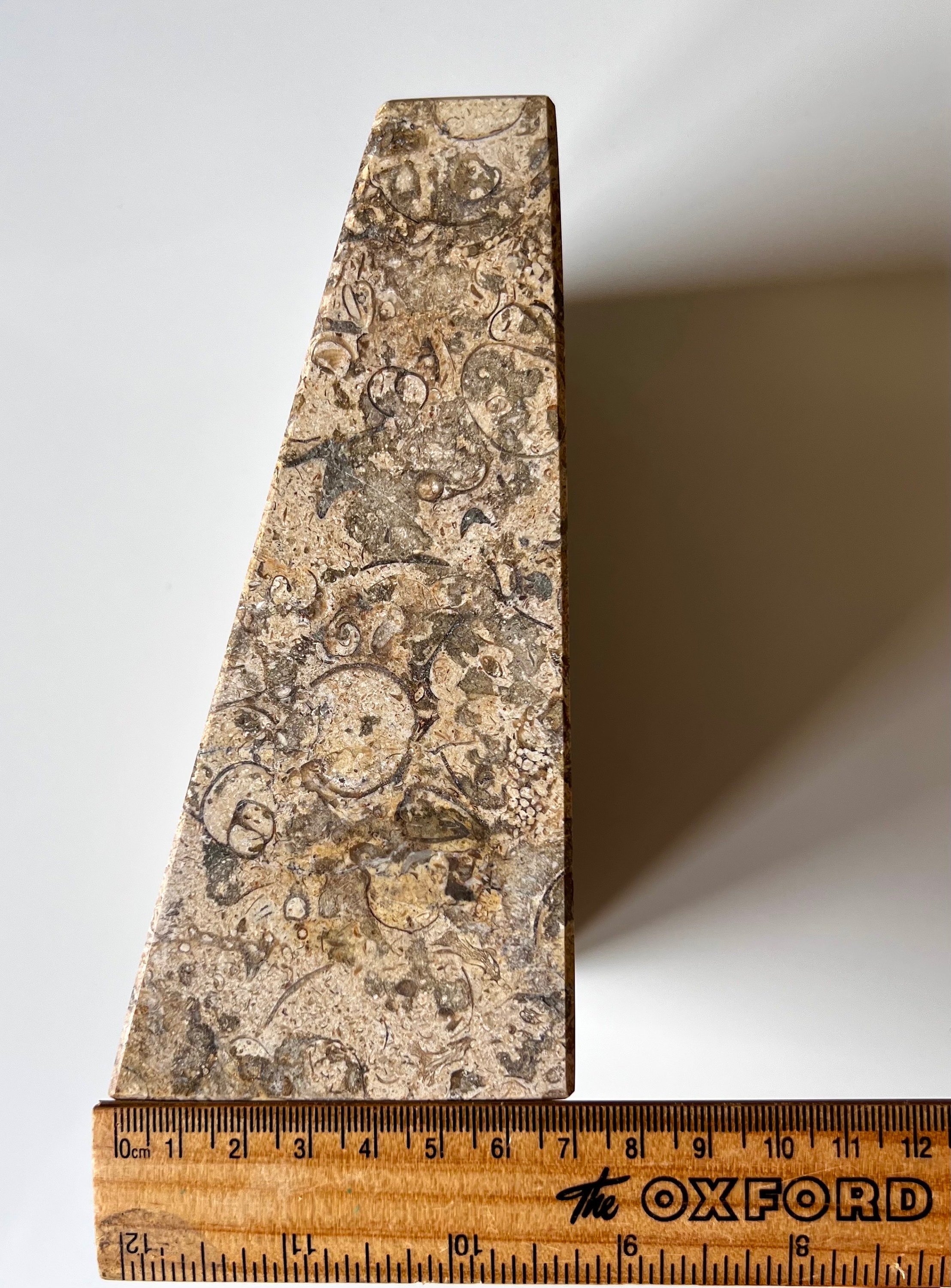 Natural Fossilstone Marble Bookends, Himalayan Stone Decor - Etsy