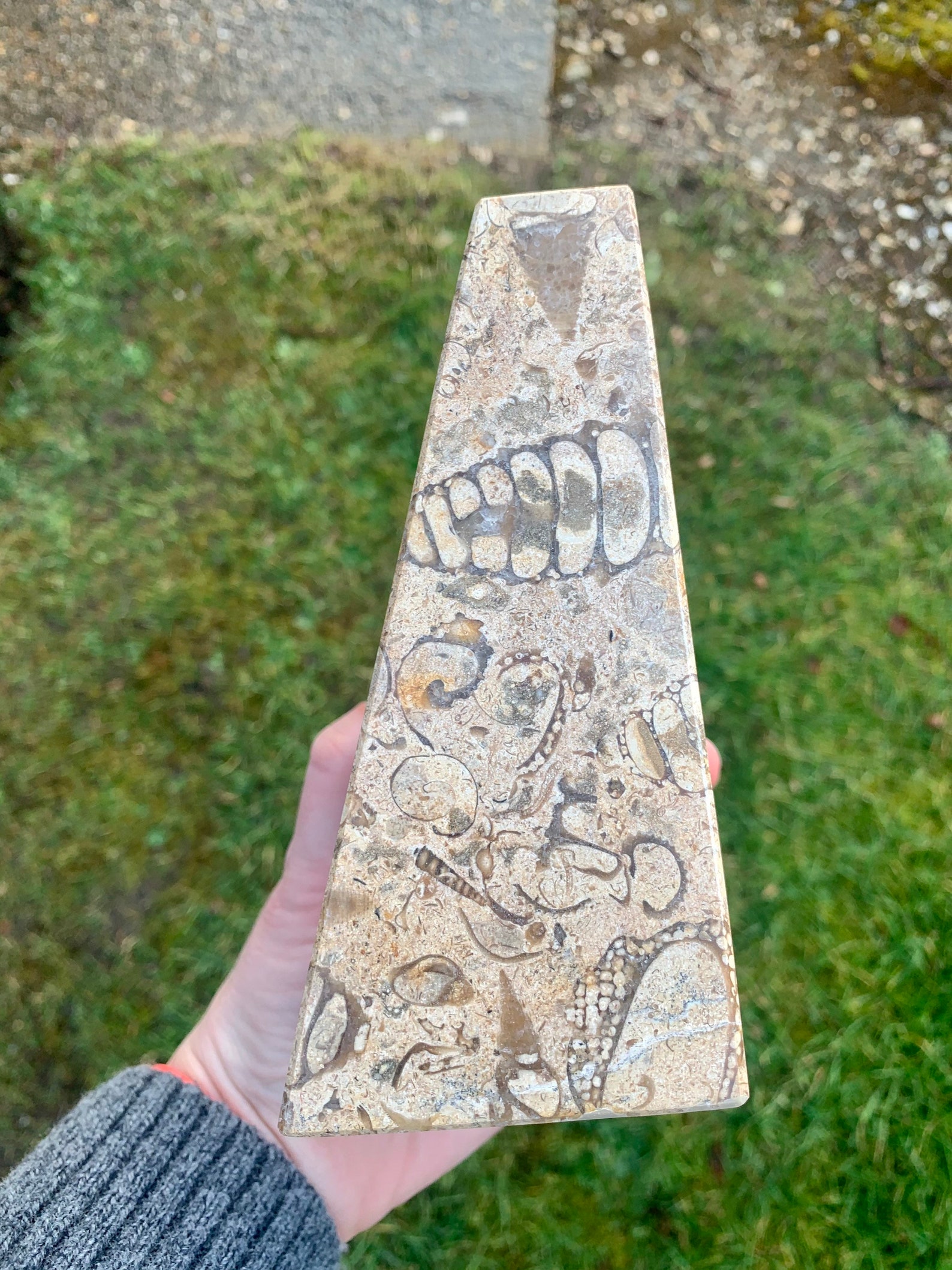 Fossilstone Marble Bookends Fossil Bookends Natural Etsy UK