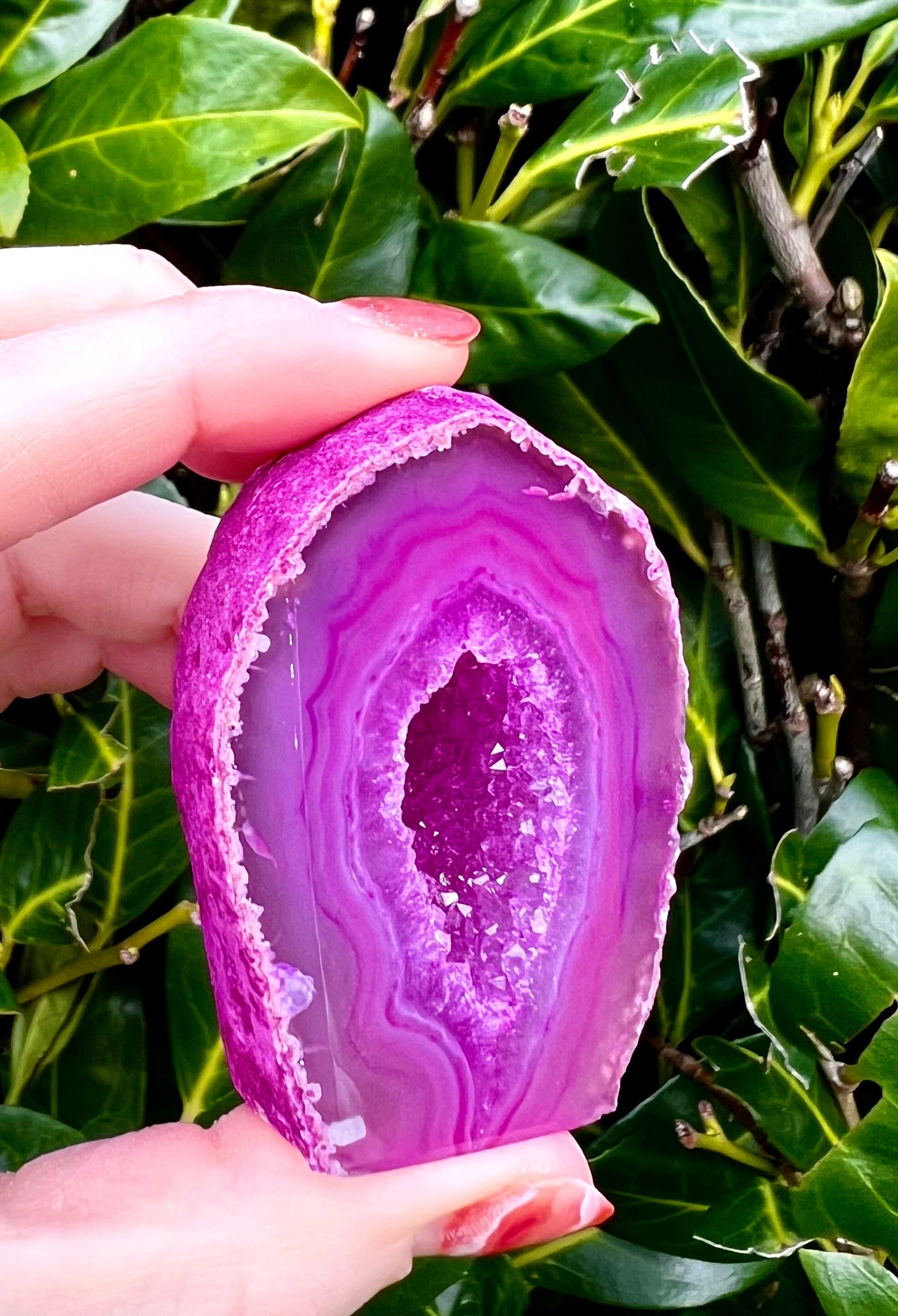 Pink Agate Geode Geode Pink Geode Crystal Brazilian Agate Etsy