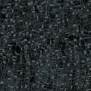 On Dragonfly Wings - Cirrus Tonal Texture Charcoal 16404P-14