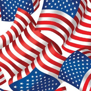 Patriotic 108&quot; - Flag Celebration White 12894W-09