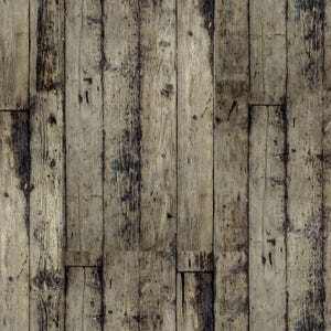 Tim Holtz Eclectic Elements Palette - Neutral Wood PWTH256.NEUTRAL
