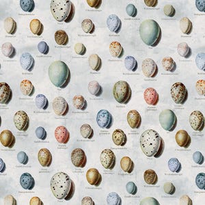 Tim Holtz Eclectic Elements Blue Palette - Blue Eggs PWTH285.BLUE