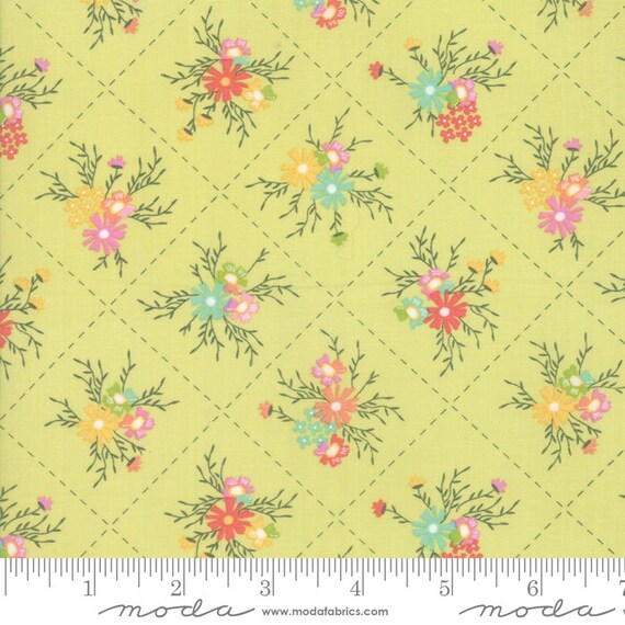 MODA Fabric ~ SUNNYSIDE UP ~ by Corey Yoder by 1//2 yard 29052 20 Gossamer