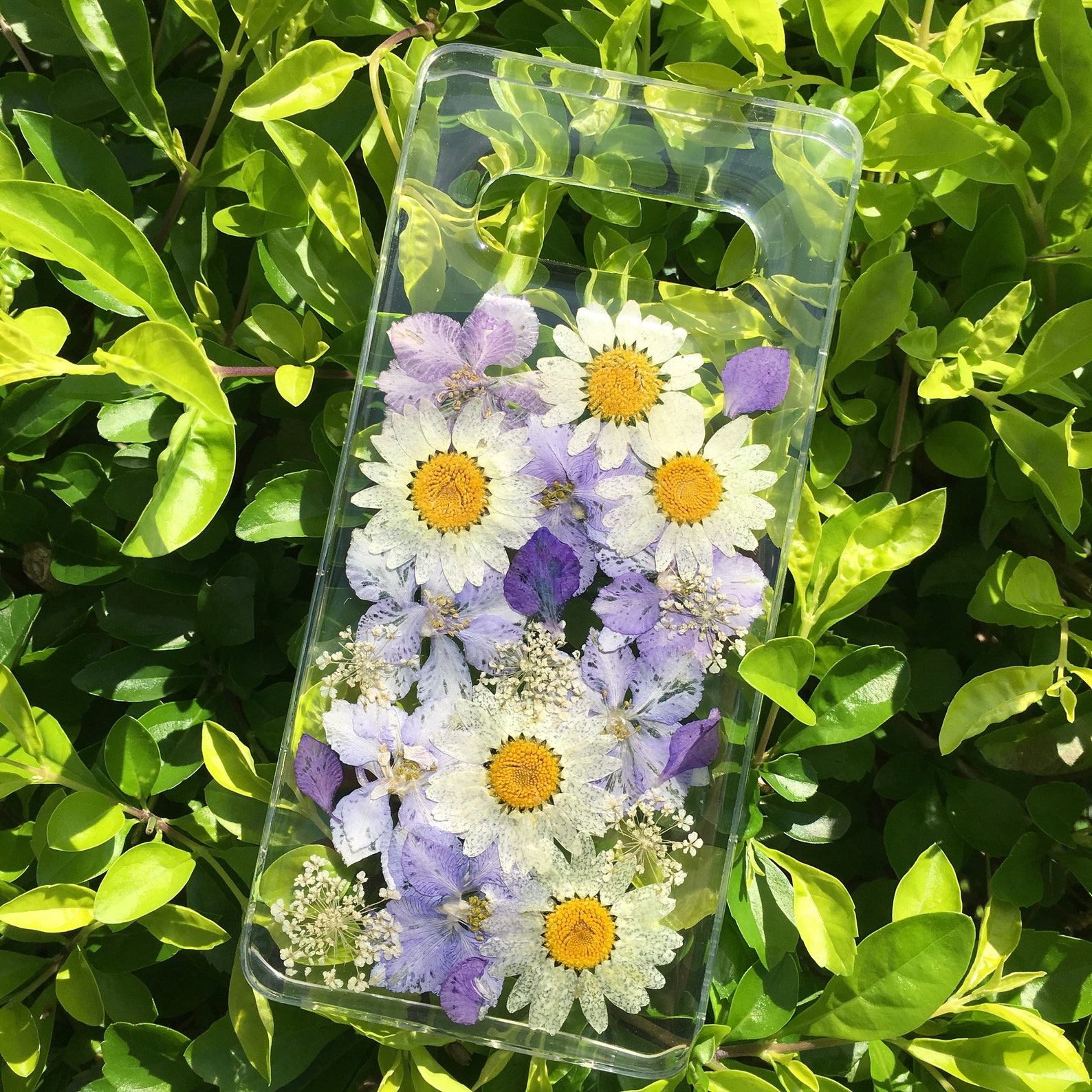 Customized Pressed Real Dried Flower Caseiphone X Xr Xs 11 12 Etsy