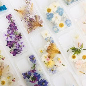 Multiple styles pressed flower phone case for iPhone 17 Pro Max 16e 15 Pro 13,for Google Pixel 9A Pro 8 7 Pro,for Samsung S25 Edge S25 Ultra