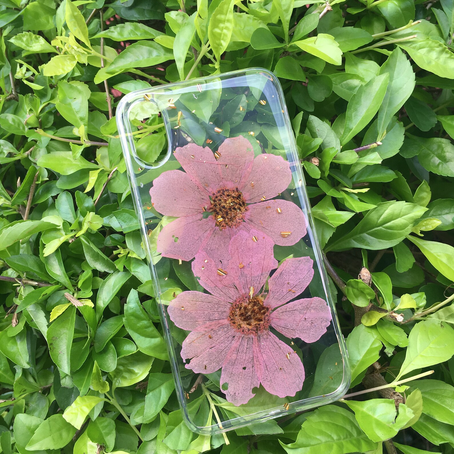 Real flower phone casepressed flower phone caseiphone cases Etsy