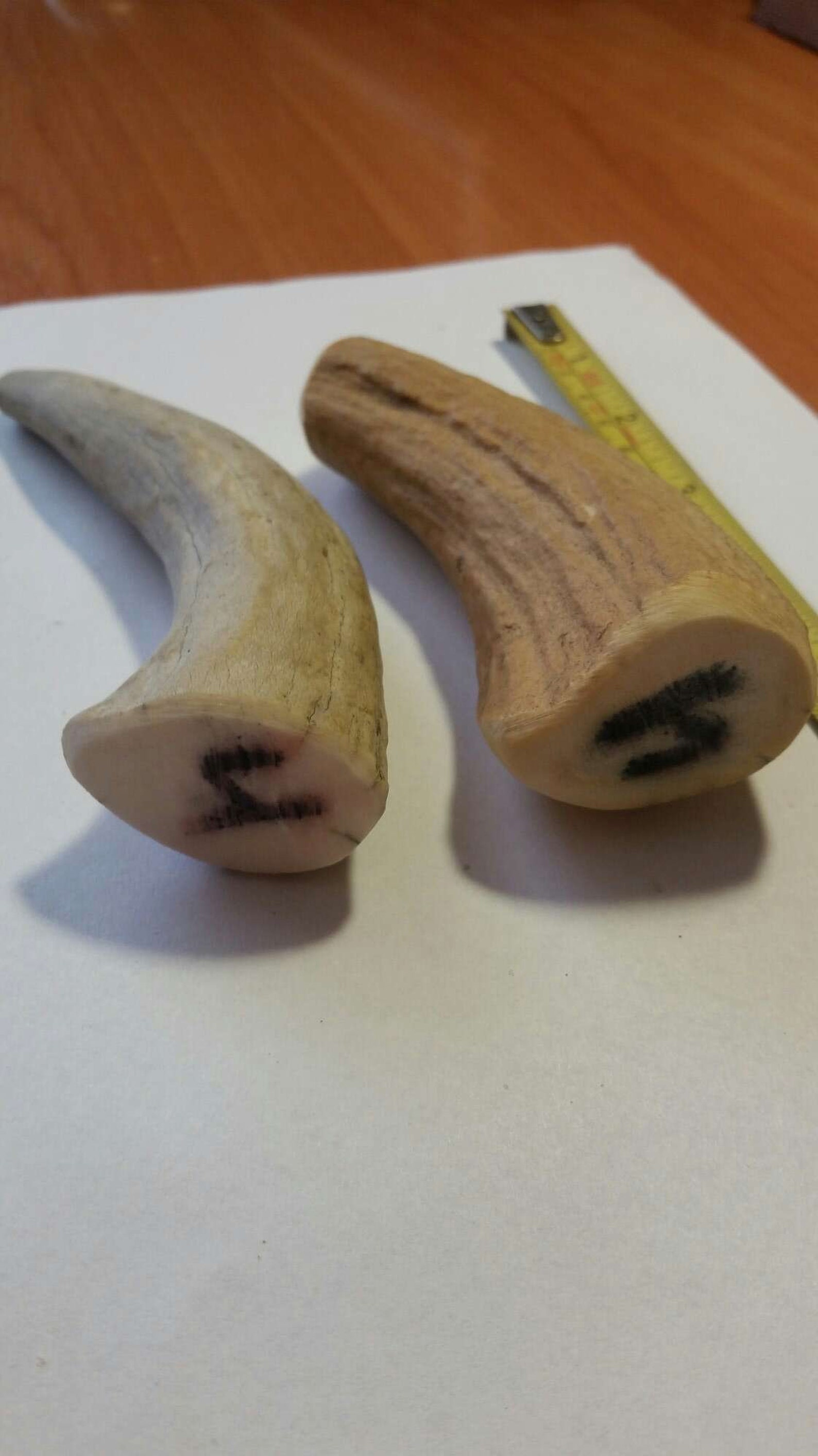 Knife handle blanks.Elk Horn blanks Fool natural4. Etsy