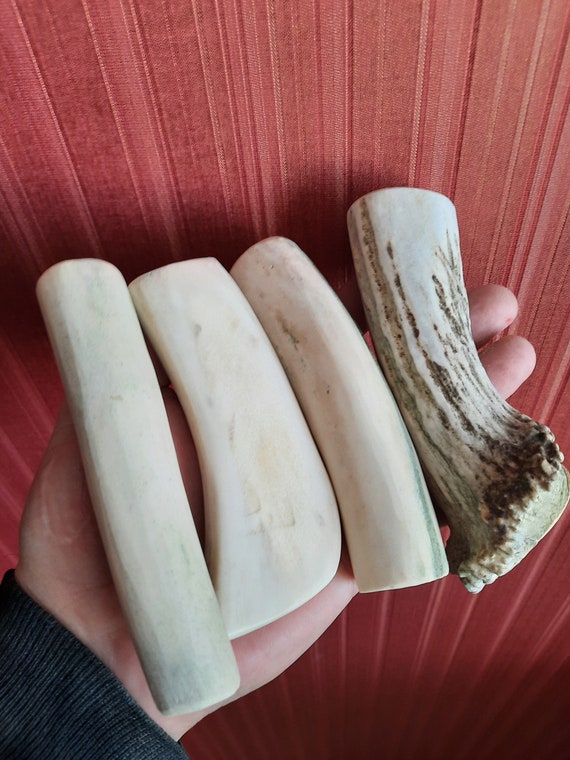 6.elk Horn Knife Handle.knife Handle Material.europen Etsy