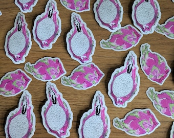 Könnte beinhalten: Eine Sammlung von 20 Aufklebern mit einer handgezeichneten Illustration einer Drachenfrucht. Die Aufkleber sind weiß mit schwarzen Umrissen und haben ein pinkfarbenes und grünes Design. Die Aufkleber sind in einem Muster auf einer Holzoberfläche angeordnet.