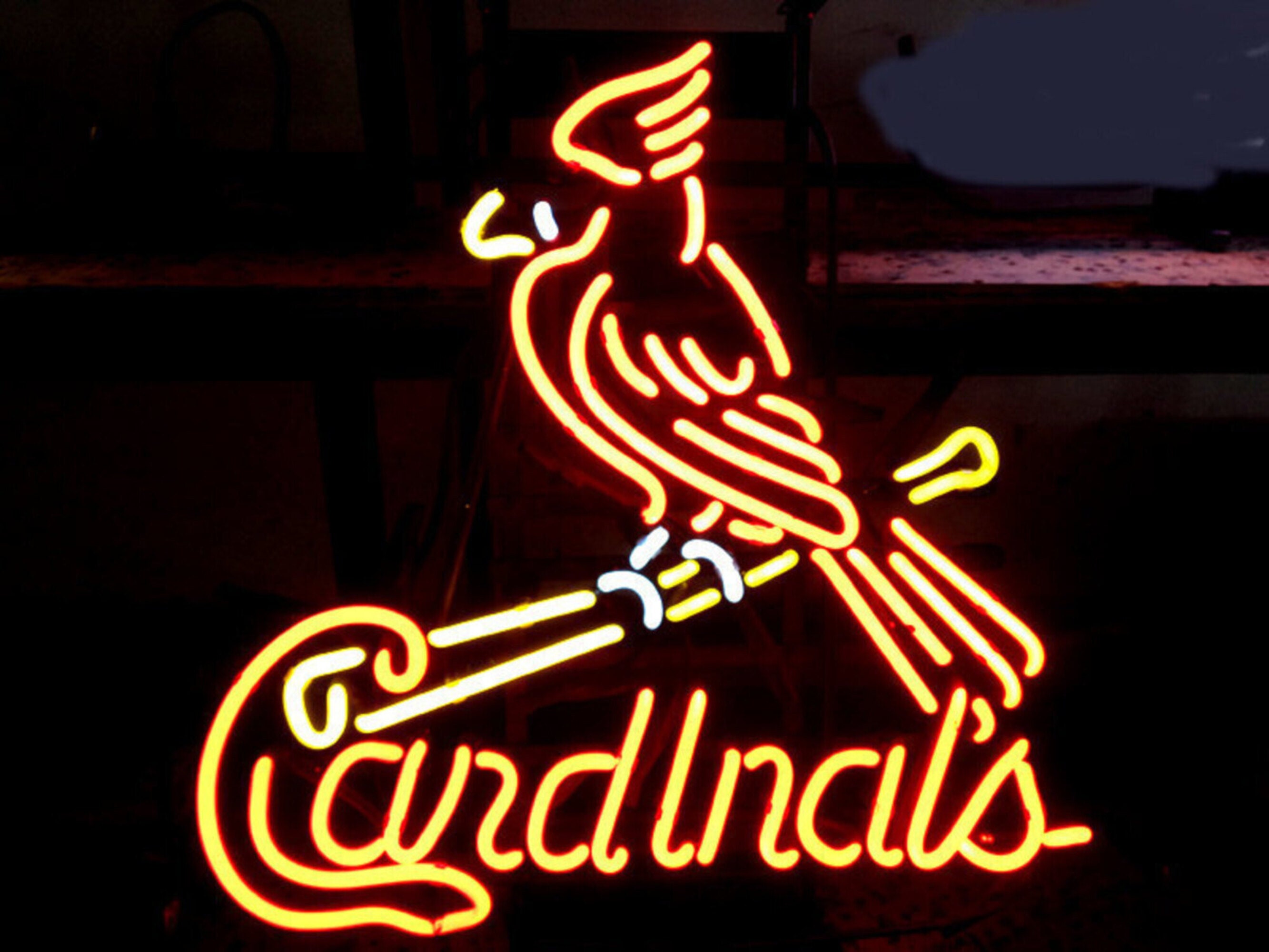  Queen Sense 10 Vivid St Louis's Sports Team Cardinal LED Sign  Light Lamp Super Bright Neon Wall Decor 110SLCRNLED : Tools & Home  Improvement