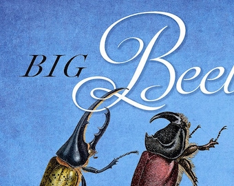 Big Beetles Fan