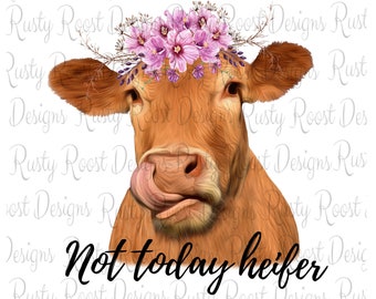 Puede incluir: Una vaca marrón con una corona de flores rosas, mirando directamente a la cámara con una expresión descarada. El texto "Not today heifer" está escrito debajo de la vaca.
