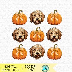 Goldendoodle PNG, Coquette fall PNG, Sublimation de chien, Sublimation de chien, Citrouilles d'Halloween, chien doodle doré