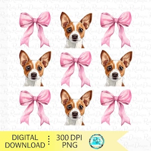 May include: Digital clipart set of six images featuring a chihuahua dog wearing a pink bow. The dog is facing forward with a white background.