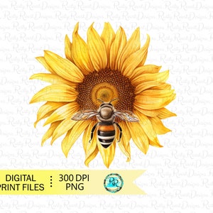 Sunflower Bee PNG, sublimation designs downloads, sublimation graphics, Bee t-shirt designs, Cute Bee, digital download, printable art