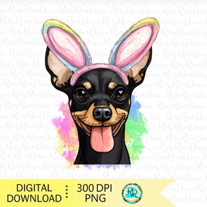 Easter Miniature Pinscher png, dog with bunny ears, Easter sublimation designs, Min Pin with rabbit ears, Easter dog digital download