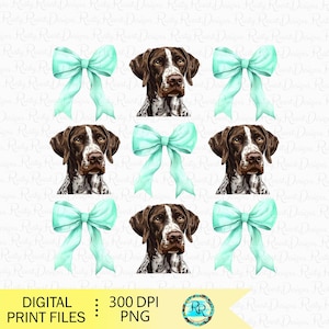 Könnte beinhalten: Ein nahtloses Muster mit einem braun-weißen Deutsch Kurzhaar-Hund mit einer hellblauen Schleife. Der Hund schaut direkt auf den Betrachter. Das Muster wiederholt sich auf weißem Hintergrund.