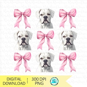 Chien boxer PNG, Chien coquette, Motifs sublimation de chien, Conception de chemise pour chien, Chien avec noeuds, Chien boxer blanc avec noeuds roses