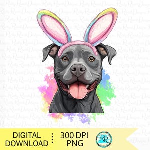 Easter Pitbull png, dog with bunny ears, Easter sublimation designs, Gray Pitbull with rabbit ears Png, Easter dog Png