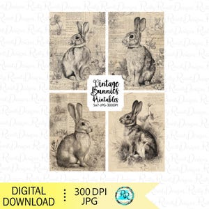 May include: A digital download featuring four sepia-toned images of rabbits. Each image showcases a different pose of a rabbit against a backdrop of vintage paper and botanical illustrations. The text "Vintage Bunnies Printables" is included.