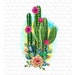 Cactus sublimation designs downloads, Cactus png, digital download, western png sublimation, desert png design, sublimation graphics