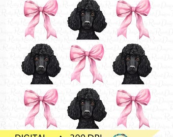 Standard Poodle PNG, Coquette dog, Dog sublimation designs, sublimation graphics, black Poodle dog with pink bows png