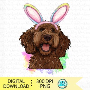 Labradoodle pasquale png, cane con orecchie da coniglio, disegni di sublimazione pasquali, Labradoodle al cioccolato con orecchie da coniglio, cane pasquale png