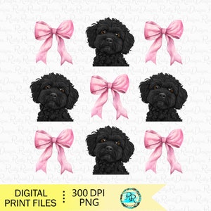 May include: Four digital illustrations of black poodles with pink bows. The poodles are facing forward with their heads tilted slightly. The bows are tied around their necks.