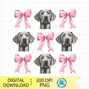 May include: Six digital illustrations of a Weimaraner dog with a pink bow. The dog is looking directly at the viewer. The illustrations are in a repeating pattern.