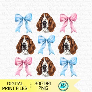 May include: Digital print files featuring a repeating pattern of basset hound faces and bows. The bows are in light blue and pink. The basset hounds have brown and white fur. The text "DIGITAL PRINT FILES" and "300 DPI PNG" is at the bottom.