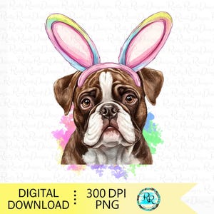 Easter dog Png, English Bulldog with bunny ears png, Dog sublimation designs, Bulldog with rabbit ears Png, sublimation graphics