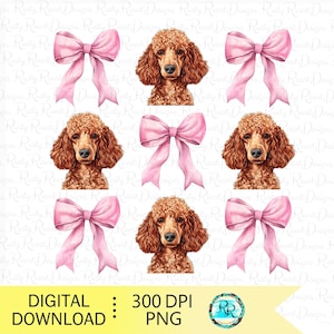 Barboncino standard PNG, Cane civettuolo, Disegni a sublimazione per cani, Disegno per maglietta per cani, Cane con fiocchi, Barboncino rosso con fiocchi rosa