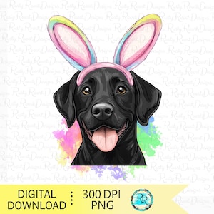 Osterhund Png, schwarzer Labrador mit Hasenohren png, Hund Sublimationsentwürfe, Labrador Retriever mit Hasenohren Png, Sublimationsgrafiken