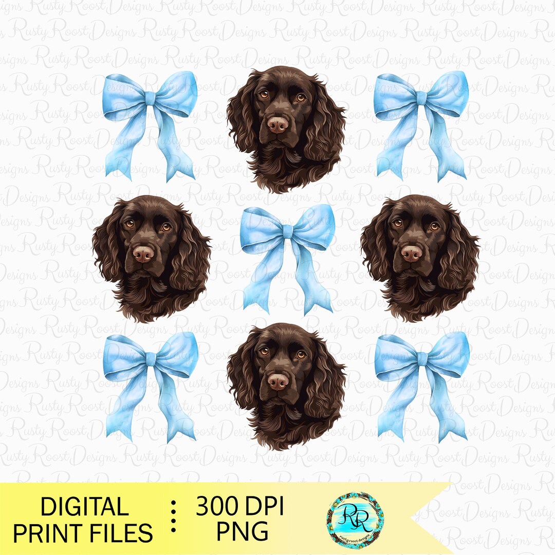 Boykin Spaniel PNG, Coquette Dog, Dog Sublimation Designs, Coquette ...