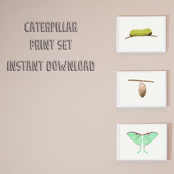 Printable Caterpillar Wall Art / instant download / Luna moth