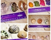 Assorted Shell Sets for HERMIT CRAB Pets Turbo Shells - Authentic Seashells - Pet Home for Hermies, Small Reptiles, Arachnids, Aquariums