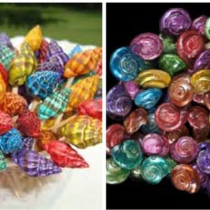 May include: A collection of iridescent seashells in various colors, including blue, green, red, yellow, and purple. The shells are arranged in a cluster and are perfect for crafting or decorating.