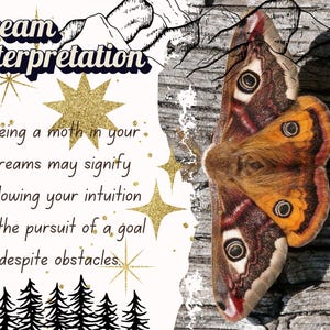 "Elegant Lunar Moth and Death's Head Moth hair clip with intricate detailing and a gothic aesthetic."