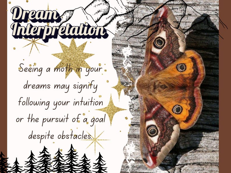 "Elegant Lunar Moth and Death's Head Moth hair clip with intricate detailing and a gothic aesthetic."