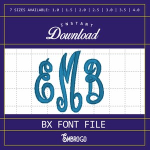 Cursive Script Monogram, Monogram Embroidery Designs, Monogram Alphabet, Machine Embroidery File, BX Fonts, 7 Sizes, Instant Download