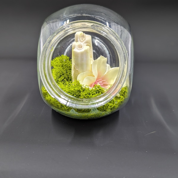 Cow Tooth in a Display Jar with Moss and a Flower