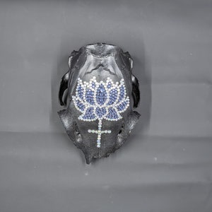 Op de afbeelding: Een zwarte dieren schedel met een blauwe en witte strass lotusbloem en een kruisontwerp.