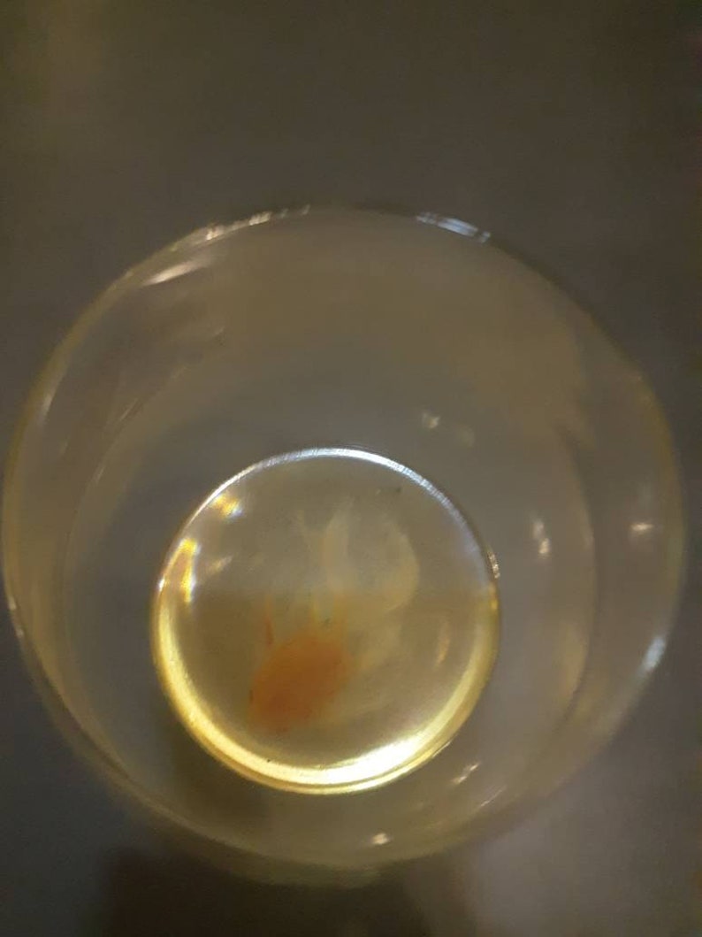 Goldfish Cocktail Glass
