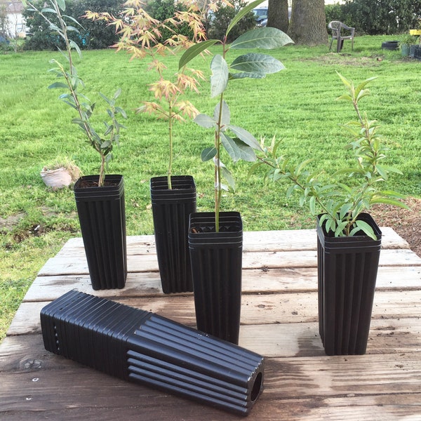 10 Tree Pots 8” x 3” wide - Sturdy Treepots Planter Pot - Budding Grafting Seedlings - Plant Garden Supply