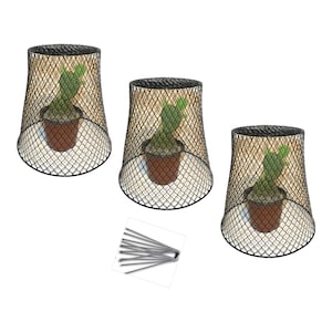 3 Pack Sturdy Wire Cloche Plant Protectors WHITE or BLACK- 9" D x 9" H, Metal Cages with Stakes, Protects from Chickens, Cats, Dogs, Birds