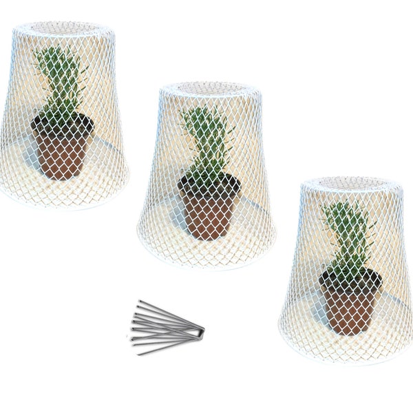 Sturdy Wire Cloche Plant Protectors WHITE (Set of 3) - 9" D x 9" H, Metal Cages with Stakes, Protects from Chickens, Cats, Dogs, Birds