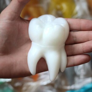 May include: A white, realistic-looking tooth made of soap. The tooth is held in a person's hand.